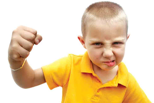 آموزش کنترل خشم به کودکان – بخش پانزدهم